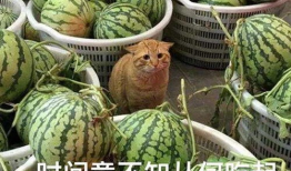 各类网红爆料吃瓜站,吃瓜站背后的热门事件大盘点